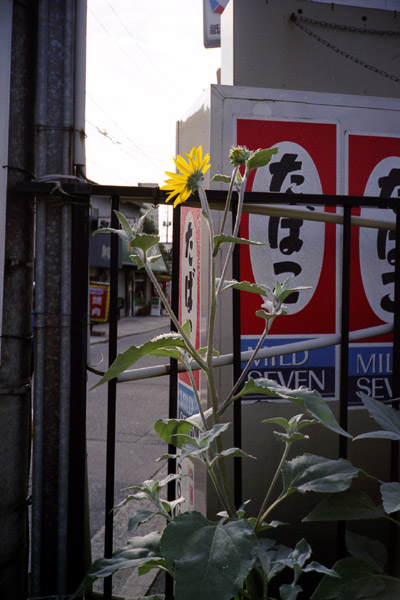 フジカオート5(FUJICA AUTO-5) | Camera Museum by awane-photo.com